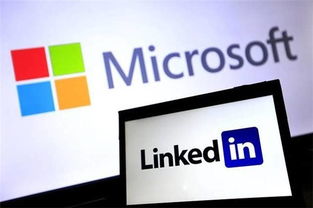 微軟巨資收購LinkedIn幕后真相 以人工智能整合生態，劍指未來智能商業高地